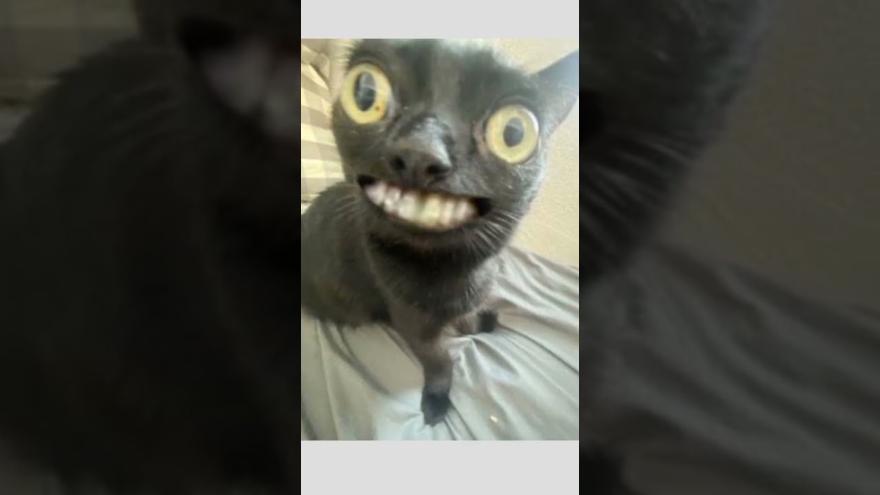 funny face