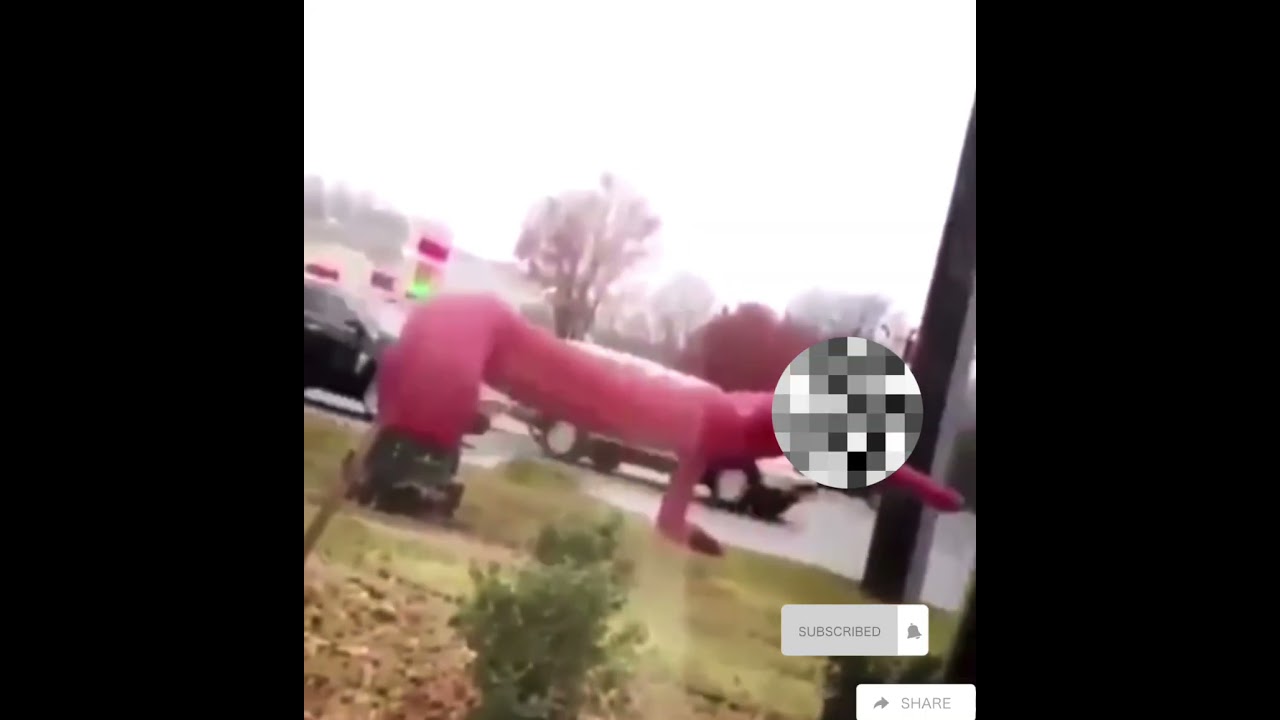 #funnyvideo #follow #humor #Payday #Friday #Money #Twerk