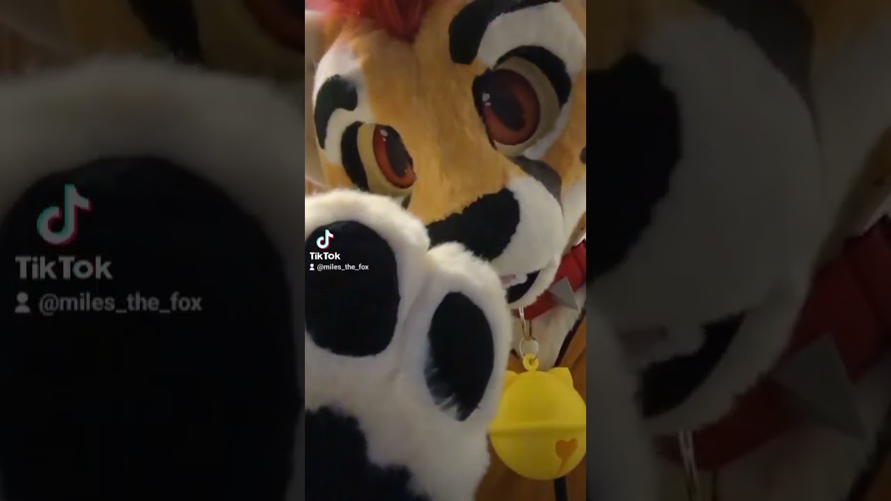 Furry in denial???? #furry #furrys #furries #furryfandom #furrycringe #fursuit #fursuiter #cosplay