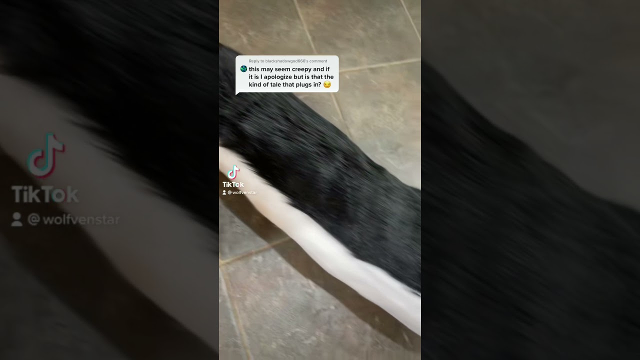 Furry TikTok: Does It Plug In?