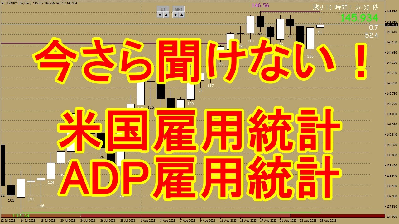 FX初心者向け｜今さら聞けない！米国雇用統計とADP雇用統計について