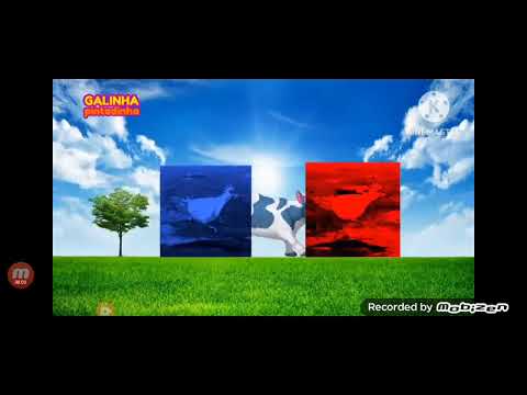 galinha pintadinha 8 pega pega