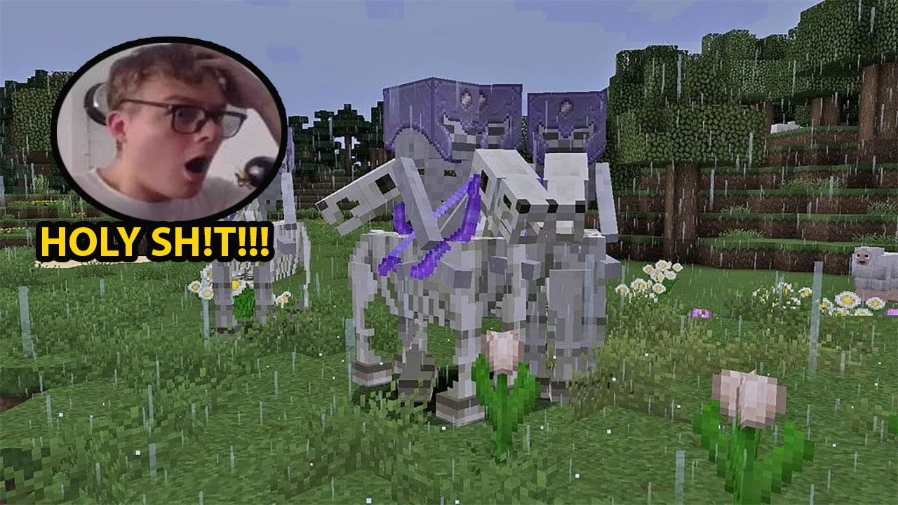 Gamers Reaction to Skeleton Horse/Skeleton Horse Trap in Minecraft