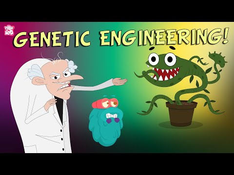 GENETIC ENGINEERING | What Is GENETIC Engineering? | Genetics | The Dr Binocs Show | Peekaboo Kidz