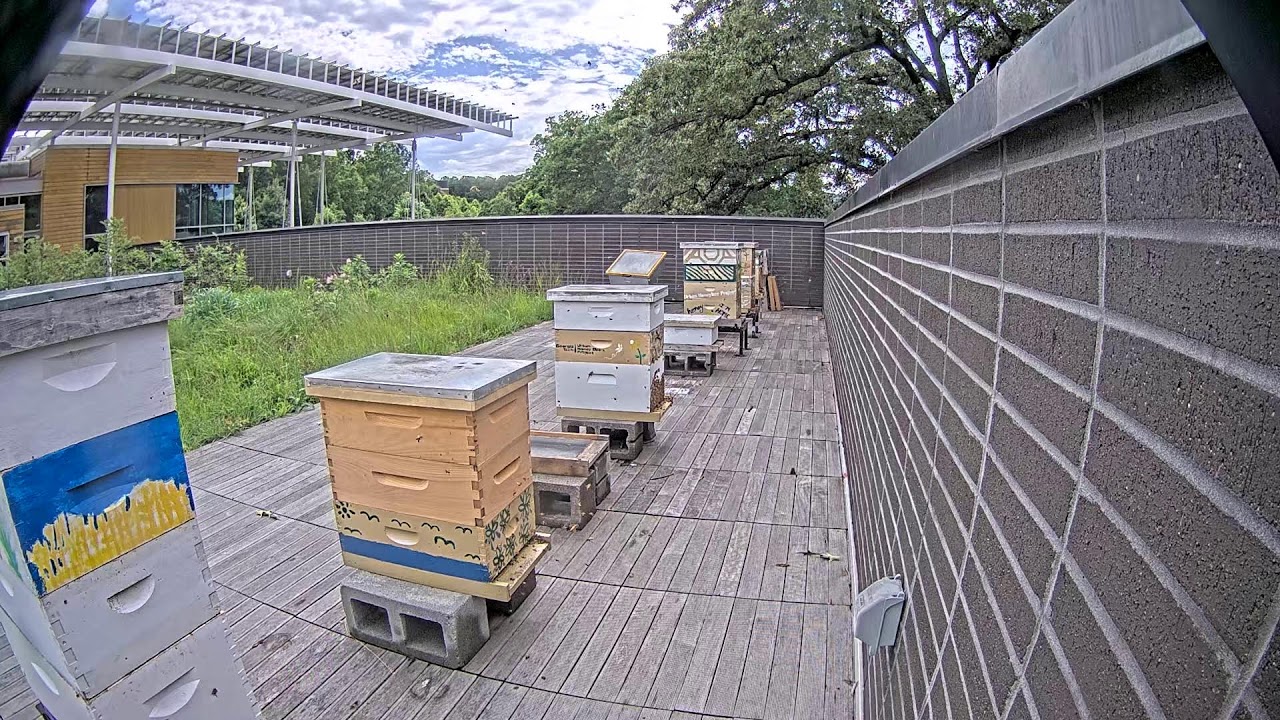 Georgia Tech Urban Honey Bee Project