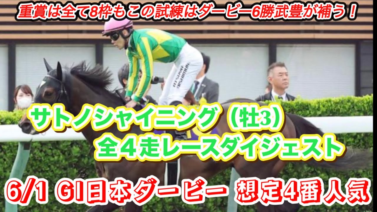 【サトノシャイニング】GI日本ダービー想定4番人気！全4走レースダイジェスト