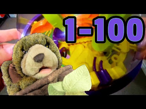 Giant Number Maze! Count to 100 with 'Tree Bear and the Perplexus'