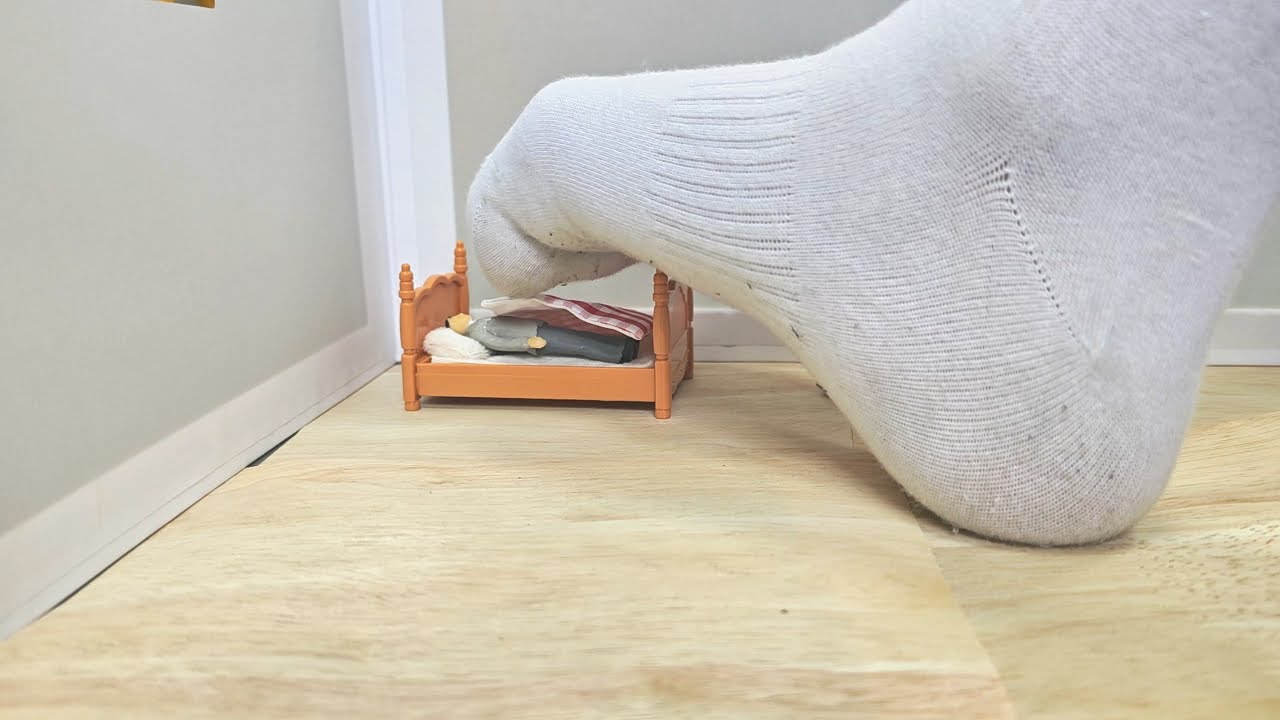 Giantess dirty white socks crush tiny house