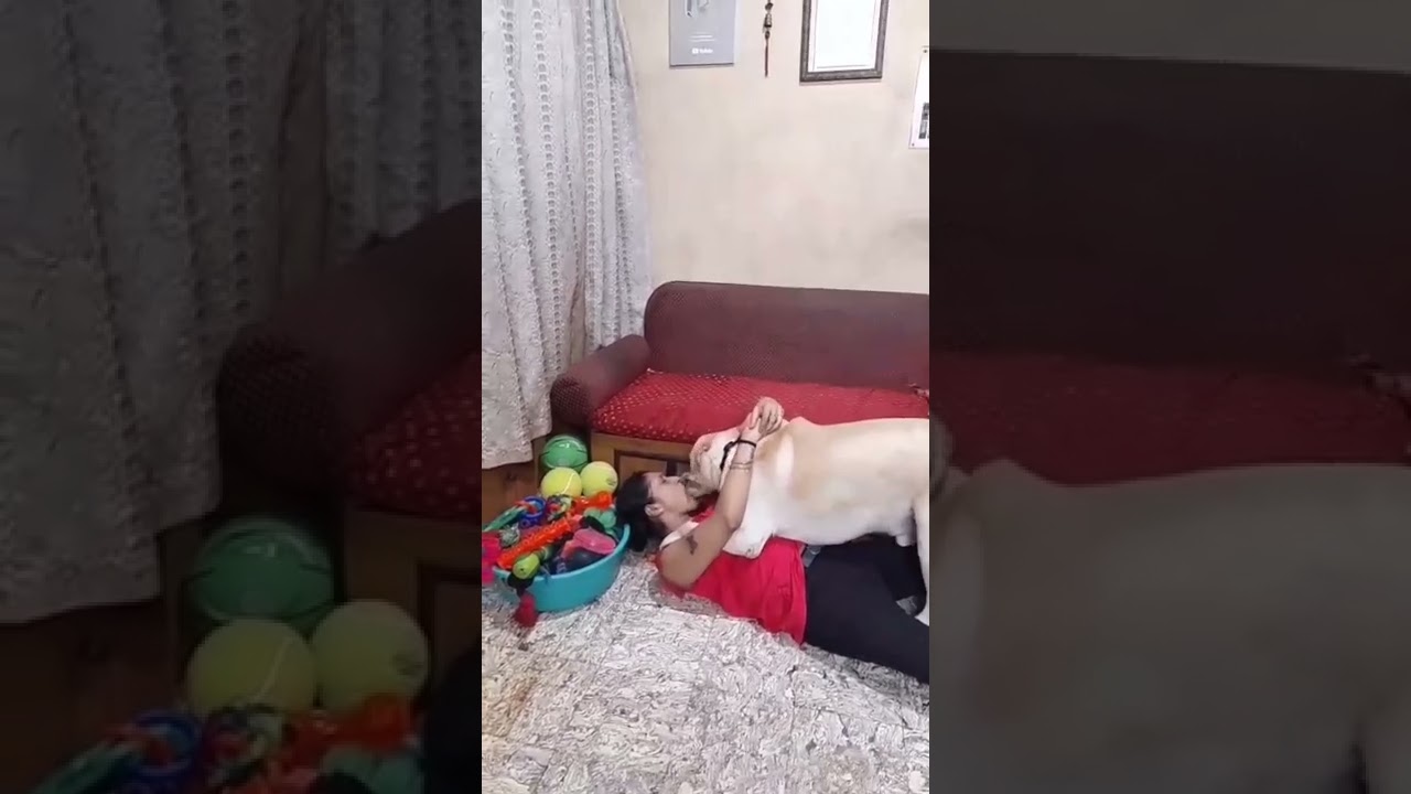 girl kiss dog enjoy #dog #viralvideo #viralshorts