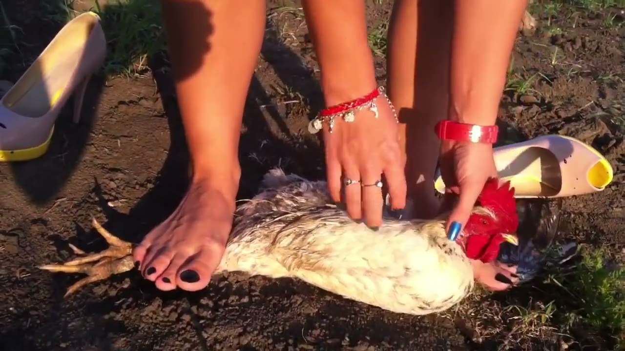 GIRL SLAUGHTER TWO ROOSTERS - Video 4