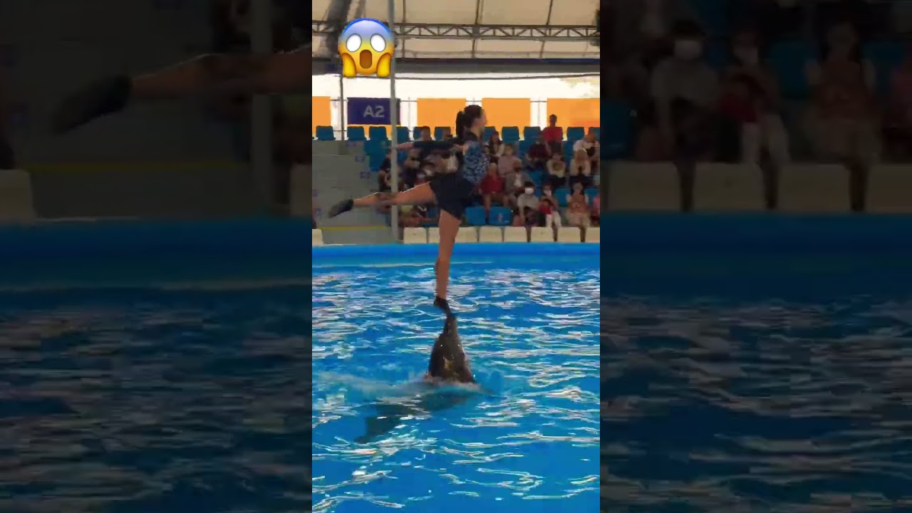 Girl vs Dolphin 😱 Mind blowing art #viralvideo #art  #artist