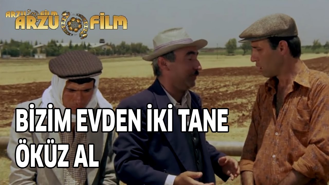 Git Bizim Evden 2 Tane Öküz Al | Kibar Feyzo