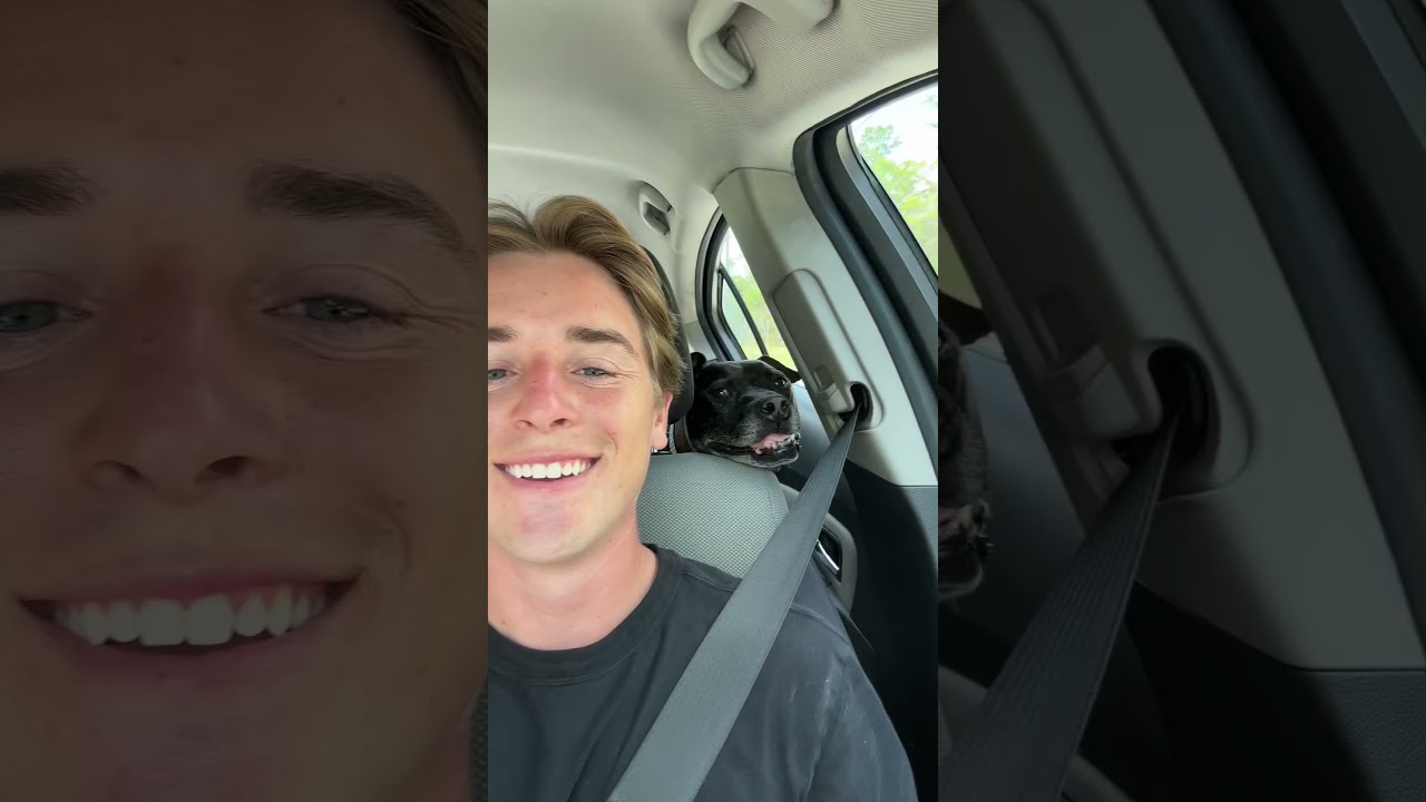 Giving a Shelter Dog the BEST Day Ever🥺