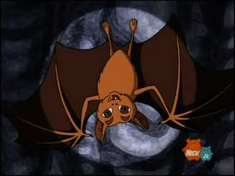 Go! Diego! Go A Blue Morpho Butterfly was Born Finding the Blue Morpho Butterfly