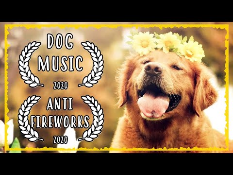 GOLDEN RETRIEVER Music for Dogs to sleep ~ Music For Dogs ~ Music for Golden Retrievers