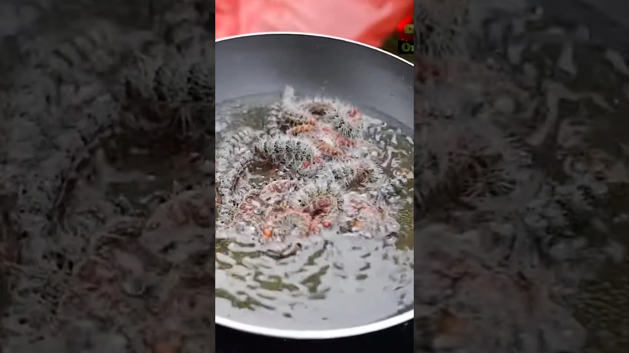 GORENG ULAT BULU RENYAH GURIH MANTAP#viral #mukbang