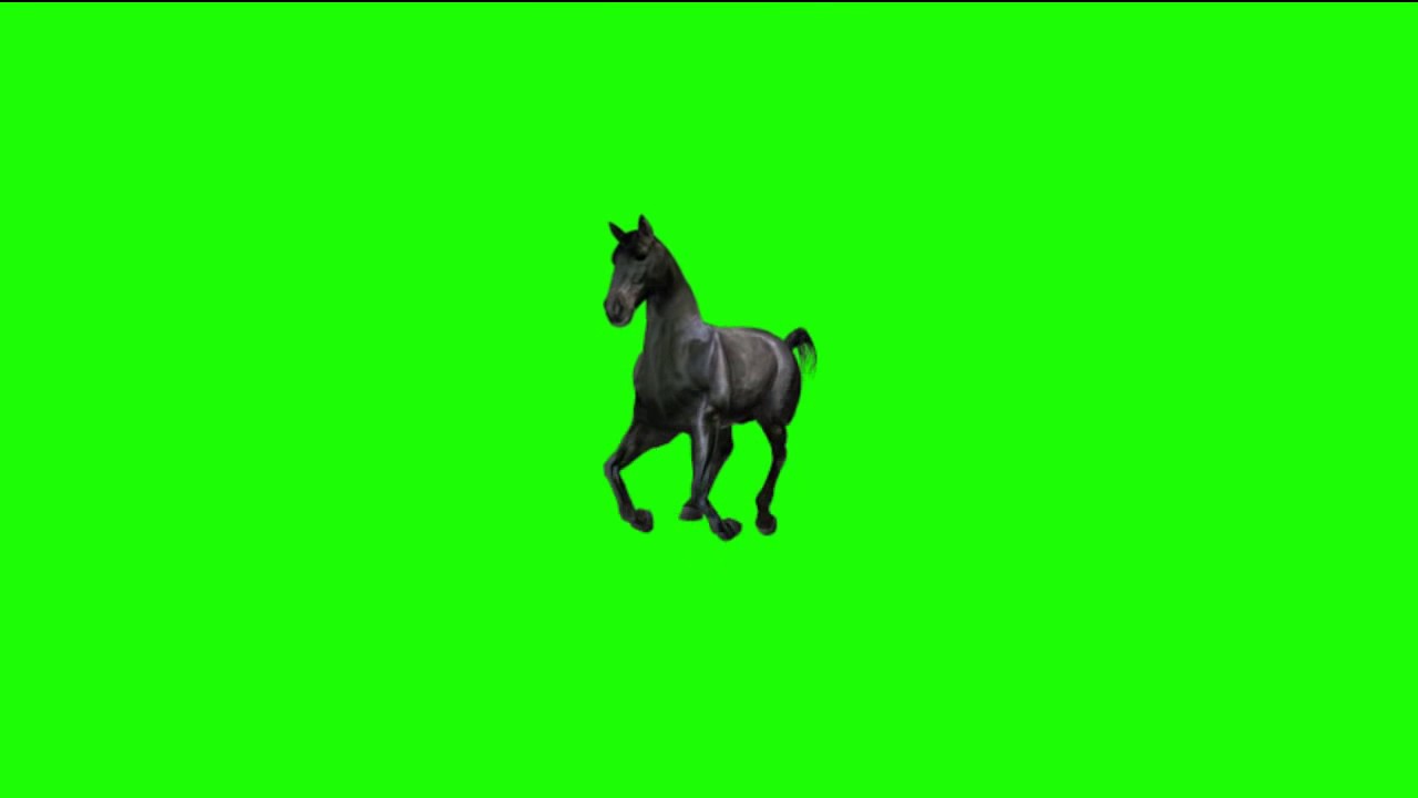 green screen horse