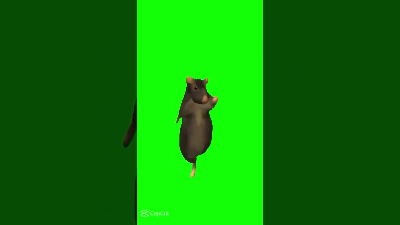 Green screen rat dance  #funny #rat