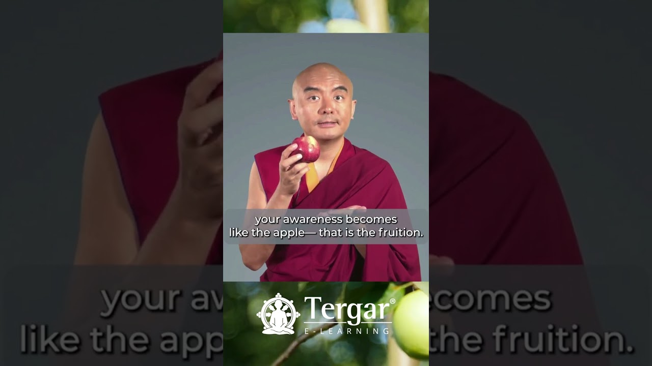 Growing Your Awareness with Yongey Mingyur Rinpoche
