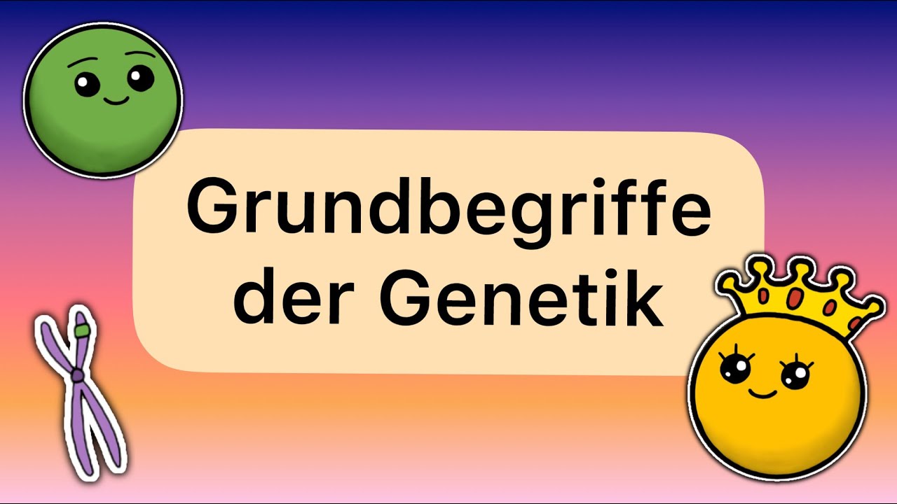 Grundbegriffe der Genetik