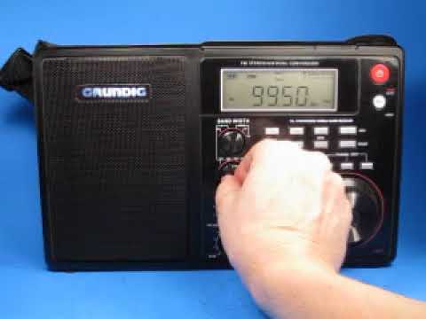 Grundig S450DLX