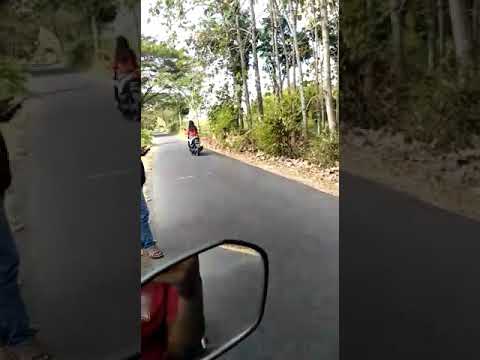 Habis wik wik di hutan