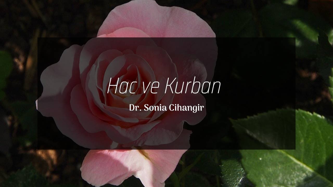 Hac ve Kurban [Sonia Cihangir]