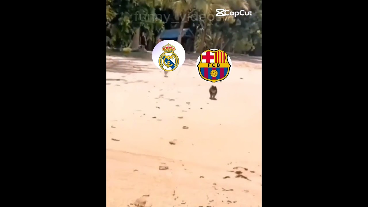 Hala Madrid