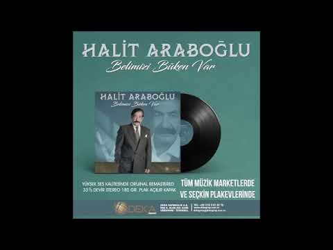 HALİT ARAPOĞLU -GURBETE YOLUMU DÜŞÜRDÜN