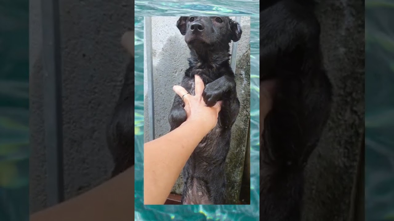 Hana bathing 1