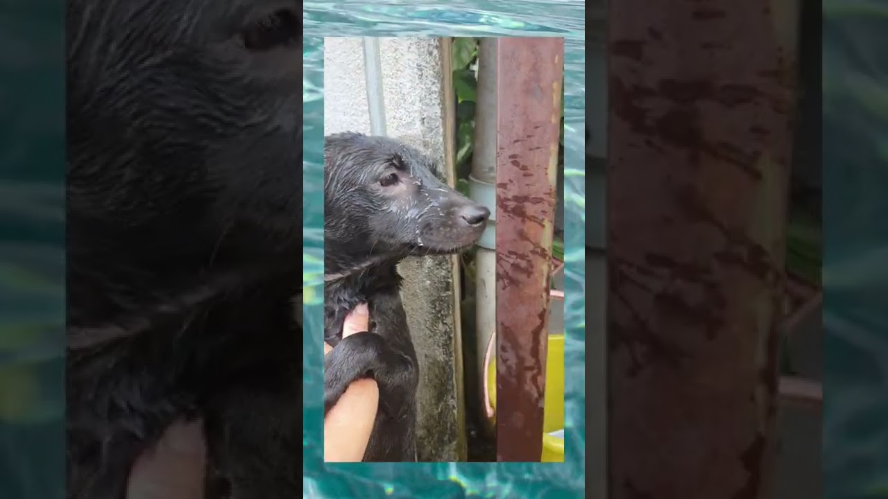 Hana bathing