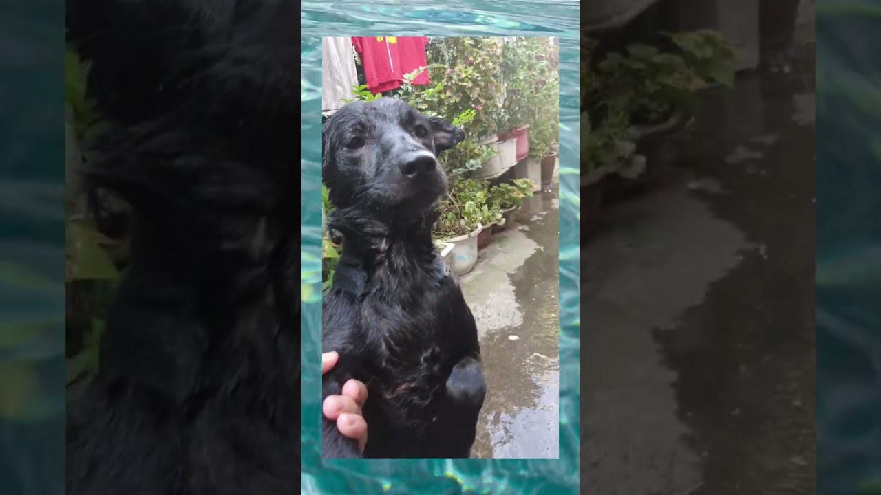 Hana bathing