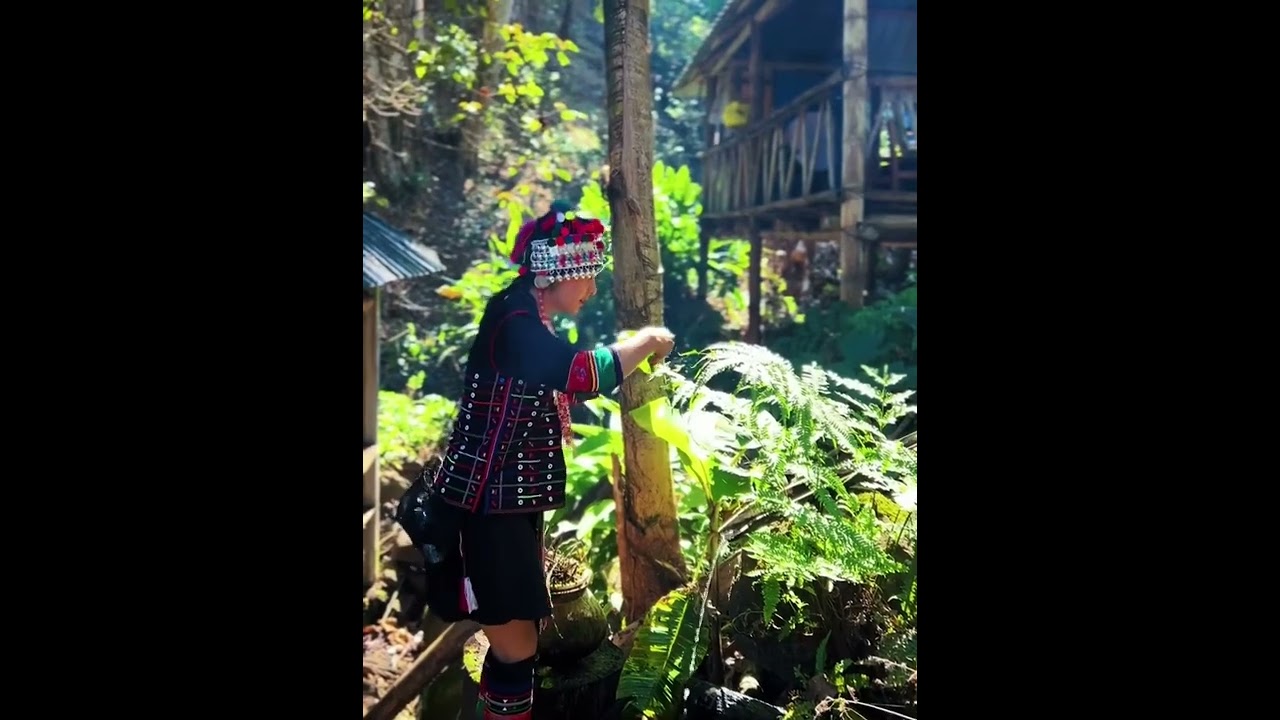 #Hani #akha
