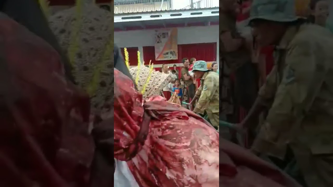hantu pocong seram #shorts #video #fyp #short
