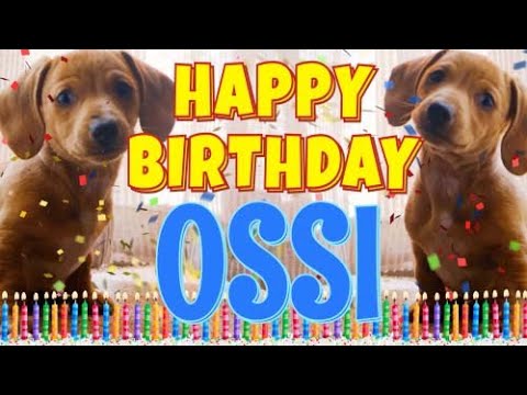 Happy Birthday Ossi! ( Funny Talking Dogs ) What Is Free On My Birthday