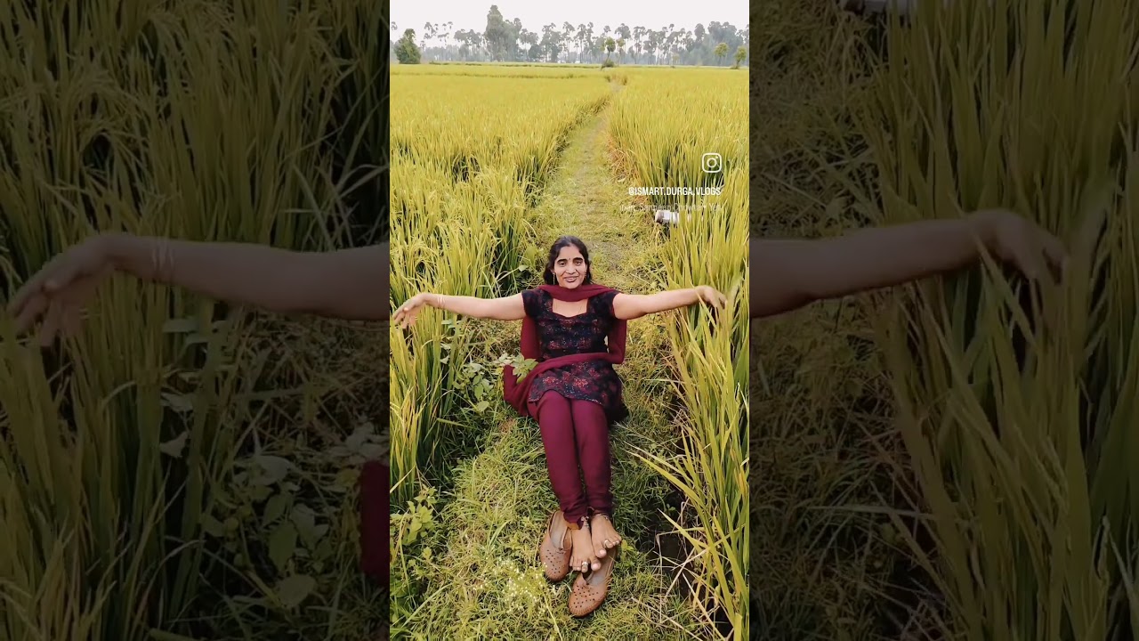 happy Dussehra to all / ismart Durga subscribe/ nature/ my village