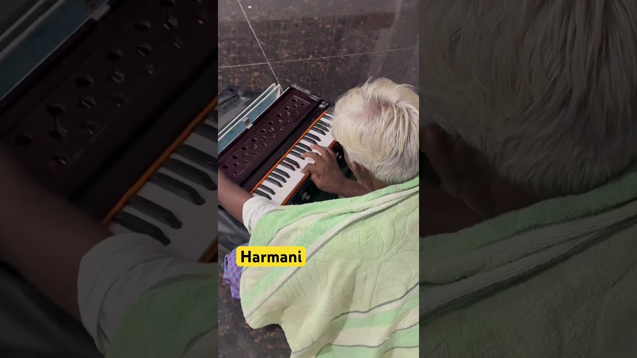 Harmani #trending #harmani #music #dj #trending #famousband #bandshow