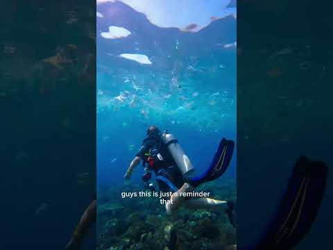 Hate to see it- please throw your trash away properly and recycle so it doesn’t end up in our oceans