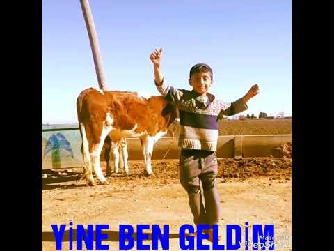 Hayatım ya