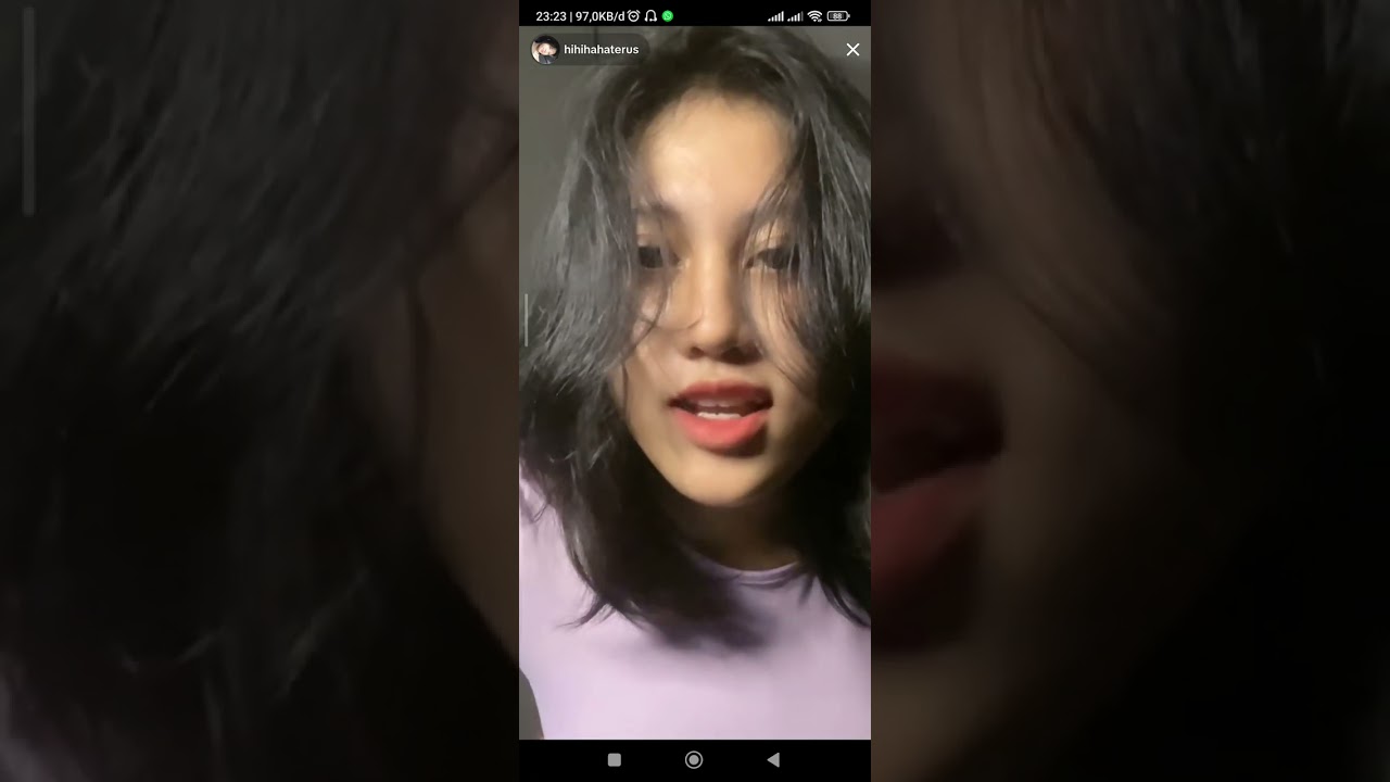 hazel live .