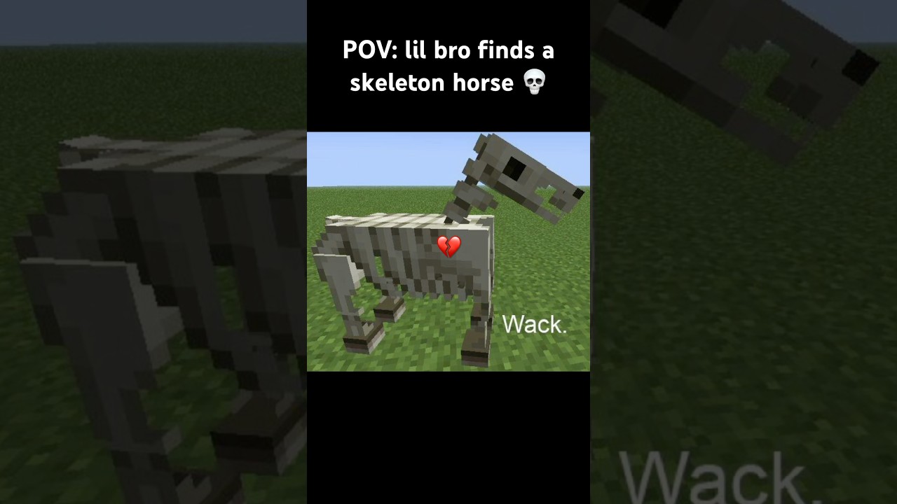 He Found His First Skeleton Horse in Minecraft