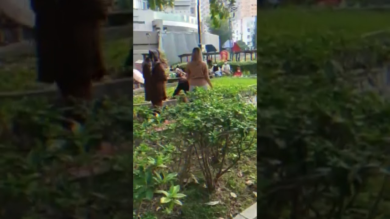 Heboh 2 TKW Berantem di Taman
