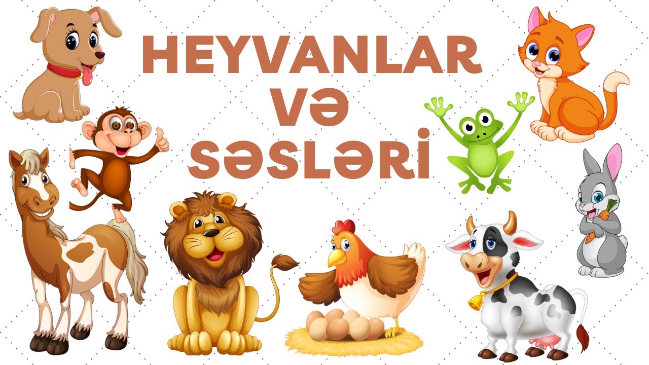 HEYVANLAR VE SESLERİ, HEYVANLAR ALEMİ