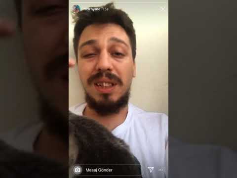 Hidra Acapella ( BAĞIRIN-AAO )