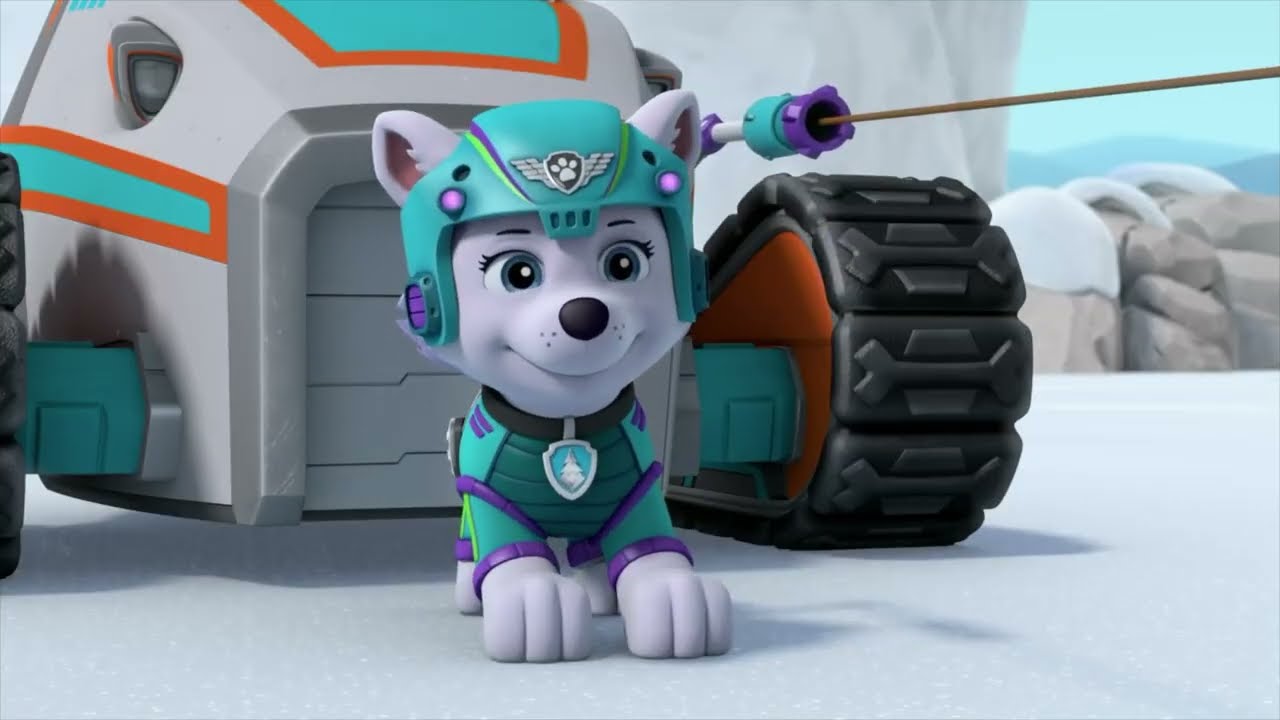 Higlight Paw Patrol Everest: Everest Paw Patrol