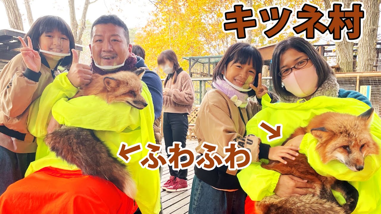 キツネ村でふわっふわなキツネを抱っこ♡餌やりでキツネが喧嘩＞＜お出掛け♪himawari-CH