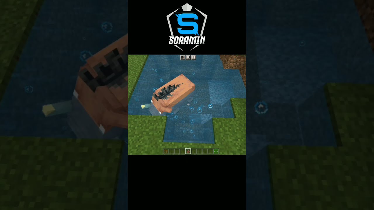 Hoglin into Zoglin #Shorts #minecraft