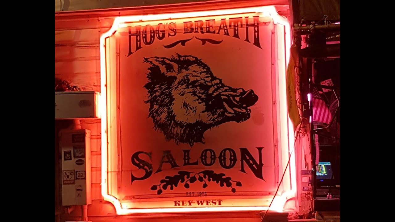 Hogs Breath Mini Bar Cam