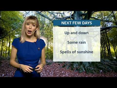 Holly Green Evening Meridian Weather2017 11 06