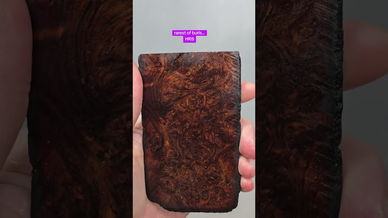 Holy Grail of burls.  Honduran Rosewood Burl.  #burl #woodworking #rare
